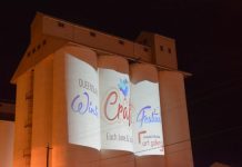 JULY GUIDE: Winter festival fun to continue