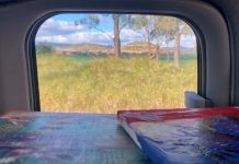 Beyond the garden gate