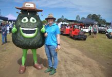 GALLERY: AvoFest a delight for all