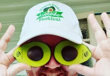 12 things to do at AvoFest
