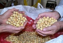 Plenty Foods $200, 000 grant