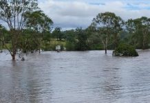 Extension for flood grants deadlines