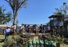 Mundubbera’s campdraft extravaganza