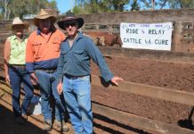 Cattle 4A Cure a ‘good cause’