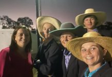 Swimming clubs, cattle team among local heroes awarded