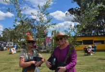 Town comes alive with Garden Expo