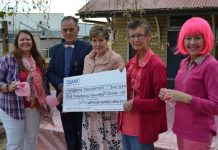 Putting pink everywhere, even the trees