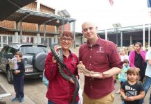 A look at a land before time