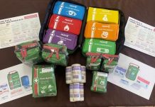 What to do with a snake bite