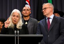 Introducing an Indigenous Voice to Parliament