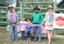 Show a masterclass in variety