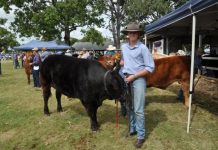 Show’s masterful variety