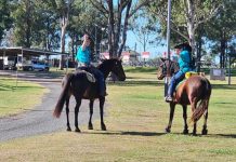 Hope reaches its destination