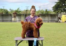 Champion groomers shoot for the stars
