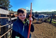 Quality and growth are key