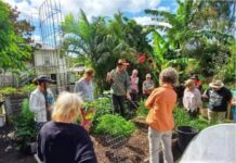 The gift of gardening