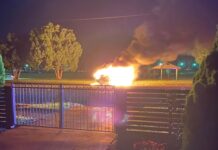 Youths arrested for armed robbery, arson