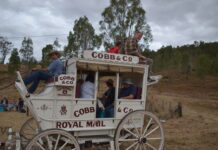 Cobb and Co driver’s passion