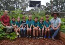 Edible garden at KSS