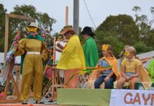 Get your citrus art ready