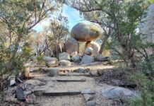 Get Your Steps In: Perfect Weekend Walks