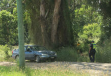 Mystery over Kingaroy crash