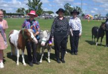 Burnett’s Best with… Gypsy-Ella Skilton