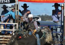 Action at Murgon’s Rodeo