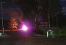 Two teens charged in arson, carjacking