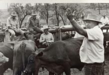 Recognising the faces behind the gavel