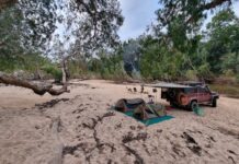 Don’t Forget the Torch! Essential Guide to Packing for Easter Camping