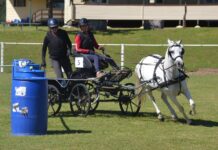 Nation’s Cup a success