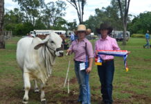 Awesome autumnal Show