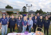 March to be DFV free