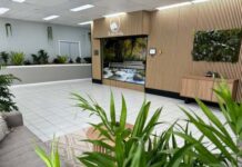 The Gentle Way to say goodbye