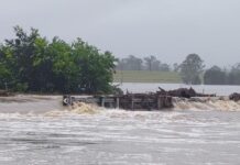 Mapping the road to resilience for Burnett towns