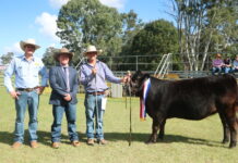 Timber town’s show a super success