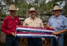 Tony Haupt Memorial Sale