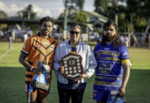 Region unites to tackle DV