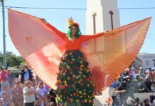 GALLERY: Goomeri Parade a pumpkin hit