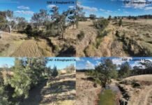 Wind farm works threaten Burnett’s fish