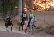 Biggenden’s endurance ride