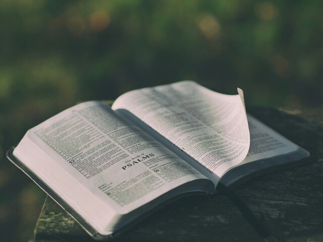 Psalm_484528_01