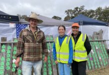 Records fall at gully