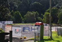 Bunya Mountains undergoing transformation