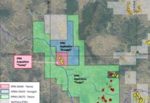 Ailing company eyes gold jackpot at Tansey