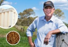 Liberals to talk, not act, on PCA closure