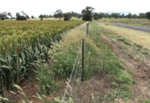 Fence lines or battle lines?