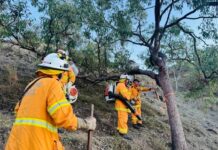 Firies get leg up on bushfire threat