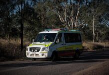 IN BRIEF: Horse and tree falls; crashes